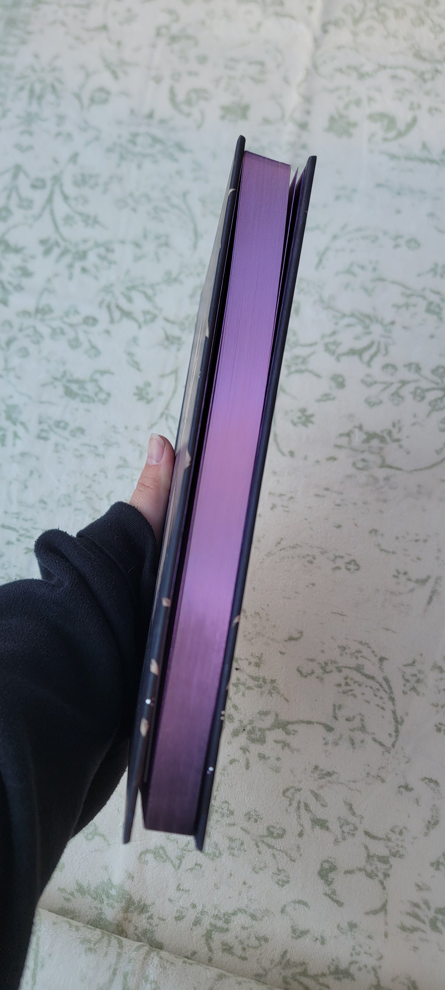 All the chaos of constellations (special edition)