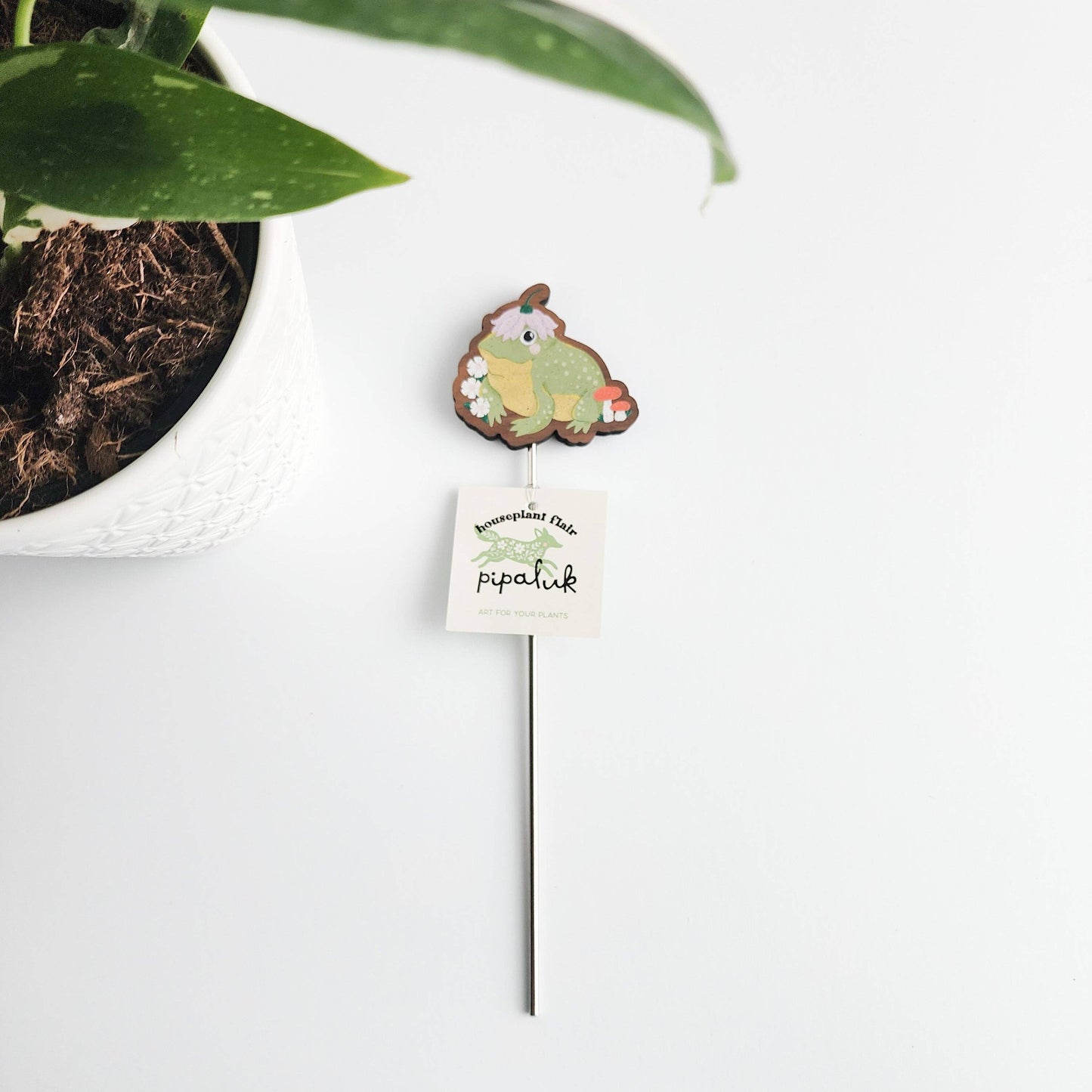 Hoppy toad houseplant flair