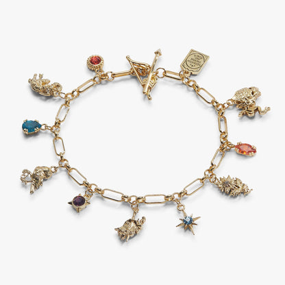 A Court of Thorns and Roses Book Covers Charm Toggle Bracelet