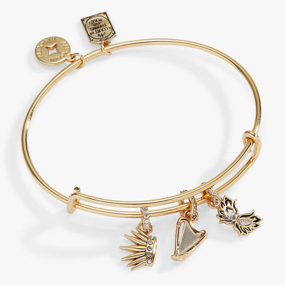 A Court of Thorns and Roses Dread Trove Charm Bangle