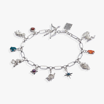 A Court of Thorns and Roses Book Covers Charm Toggle Bracelet