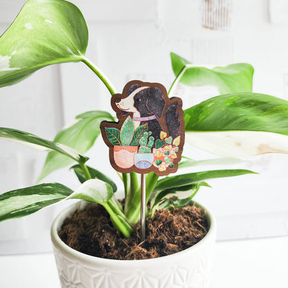 Houseplant hound houseplant flair