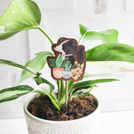 Houseplant hound houseplant flair