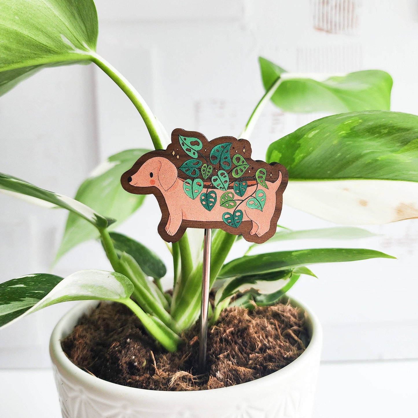 Dachshund planter houseplant flair