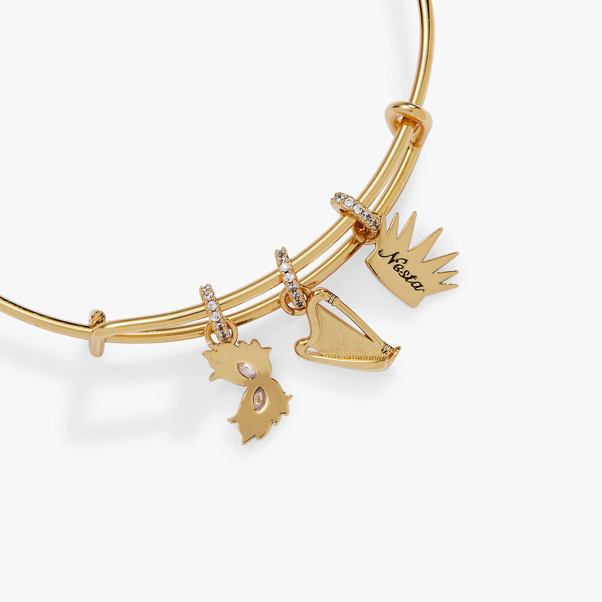 A Court of Thorns and Roses Dread Trove Charm Bangle