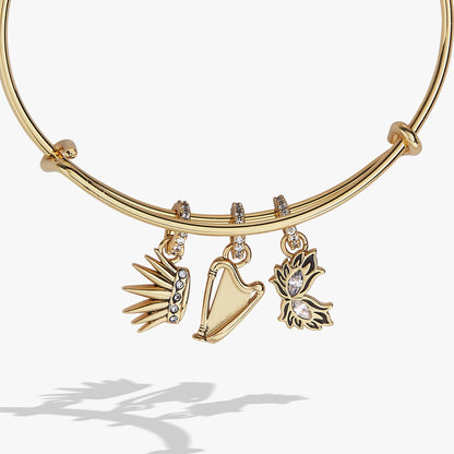 A Court of Thorns and Roses Dread Trove Charm Bangle