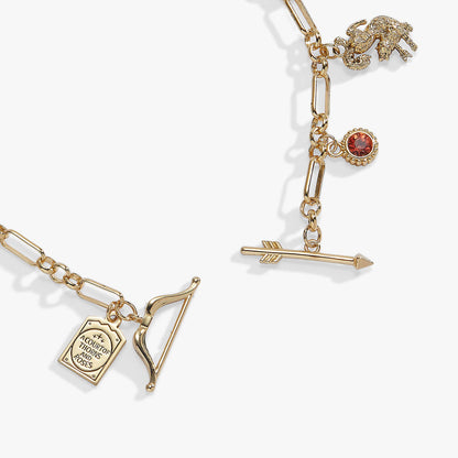 A Court of Thorns and Roses Book Covers Charm Toggle Bracelet