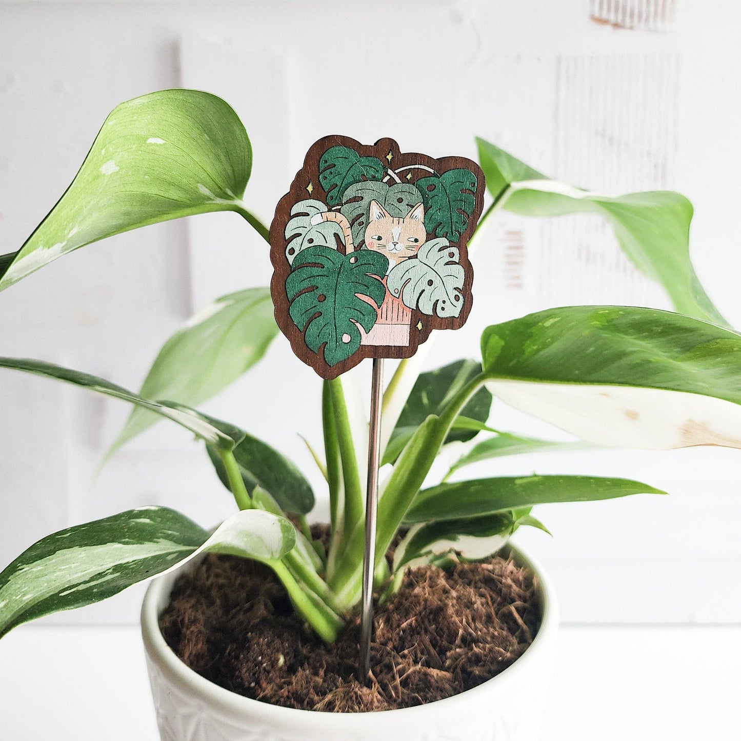 Cat in monstera houseplant flair