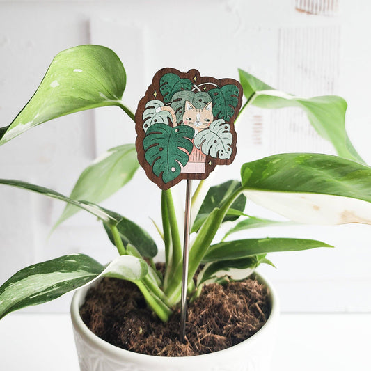 Cat in monstera houseplant flair